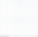 Expressions Batiks Hand-Dyes Ghost White BT21000-330Â Â Riley Blake