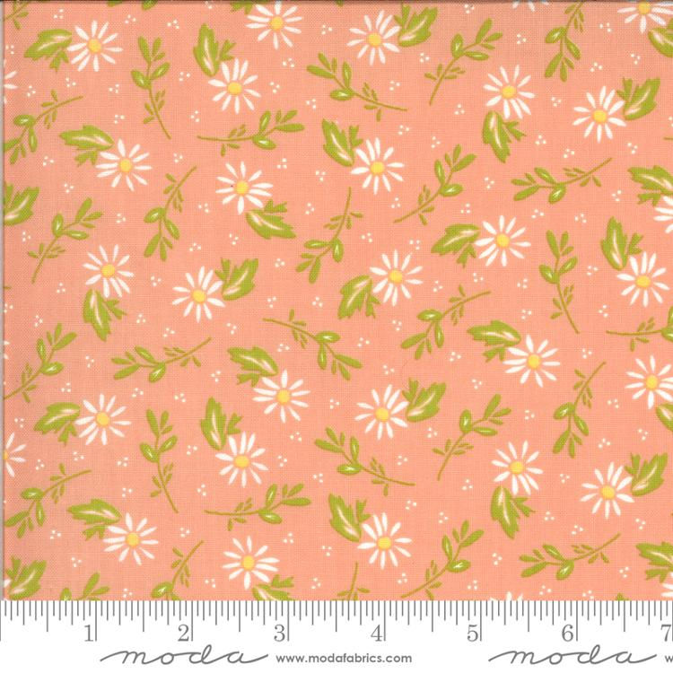 dainty flowers on Peach