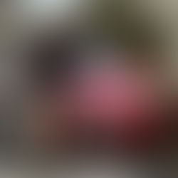 開発の神様にお会いする展開に！