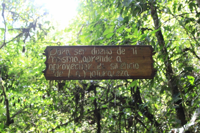 Pailon del diablo (5).jpg