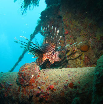 久々の伊良部島!