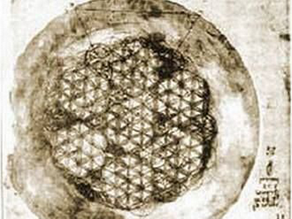第七件　生命の花・Flower of Life