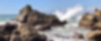 C75229EC-5A30-42F4-B78E-675D07E20FBC.jpeg