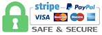 paypal-stripe theno1face.png