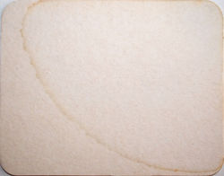 De Koninck Brewery V