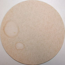 Mahr's_Bräu_Cervejaria_V