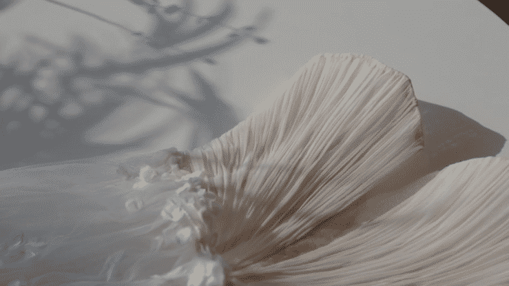 Banu Güven | Atelier