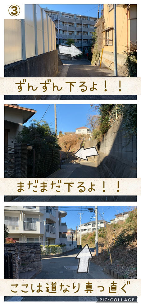 03.jpg