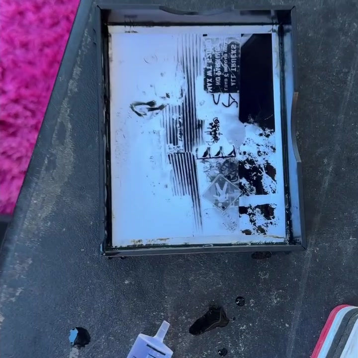 Pinsta pinhole photo revealed in the developing tray
