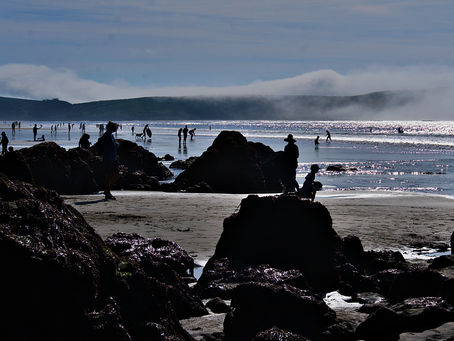 Dillon Beach, Marin County California