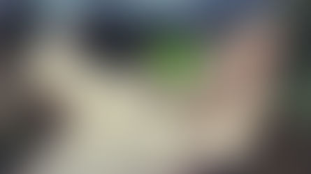 Learning to Grow when Survival and Security Trumped Authenticity