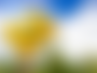 The Future of Family Therapy in Australia