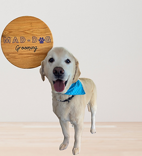 Untitled design (5).png