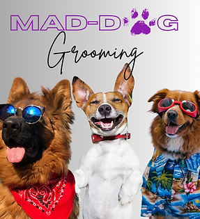 Untitled design (8).png