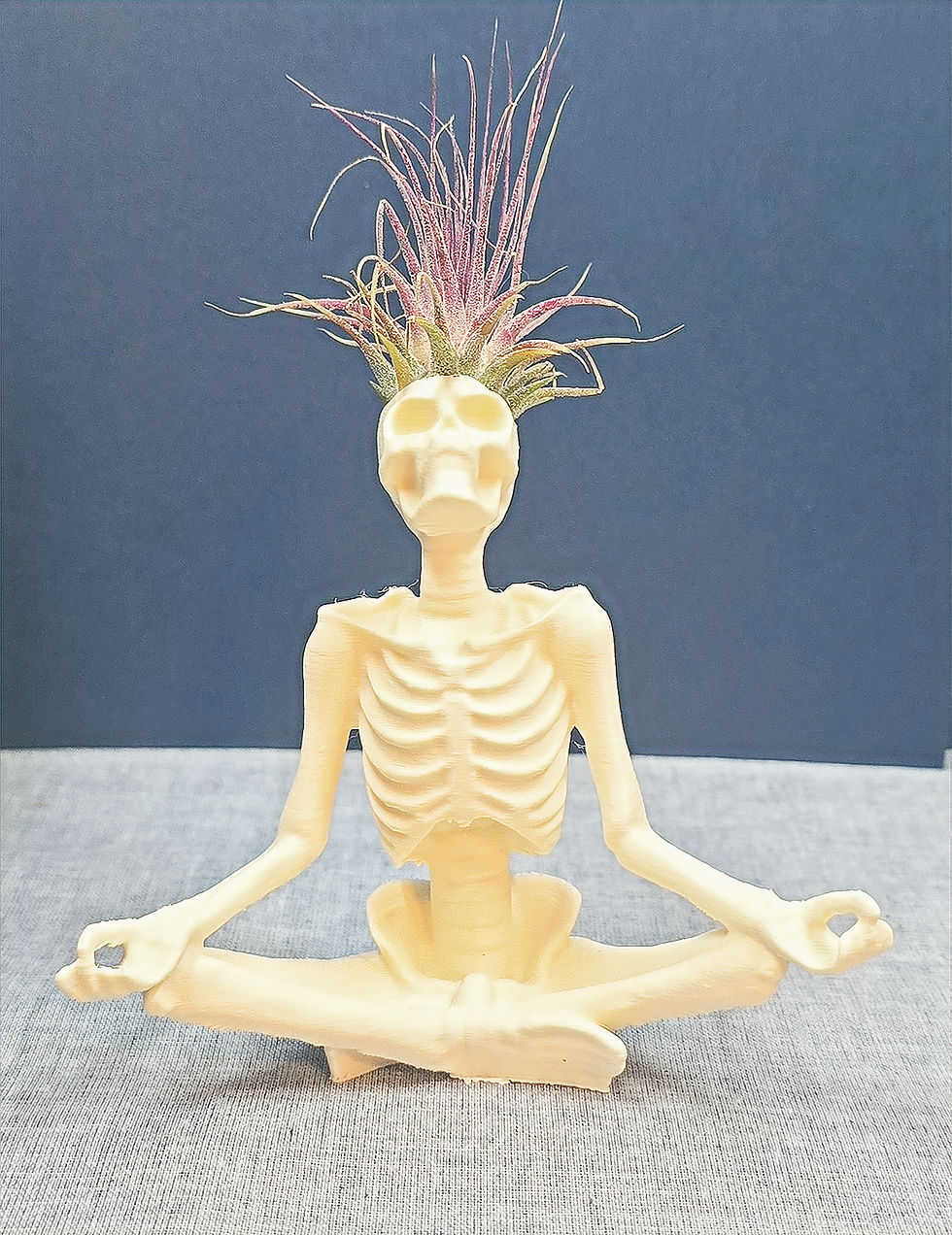 gothic air plant holder skeleton in yoga pose part of the edgy root suspended souls gothic air plant holder collection 
