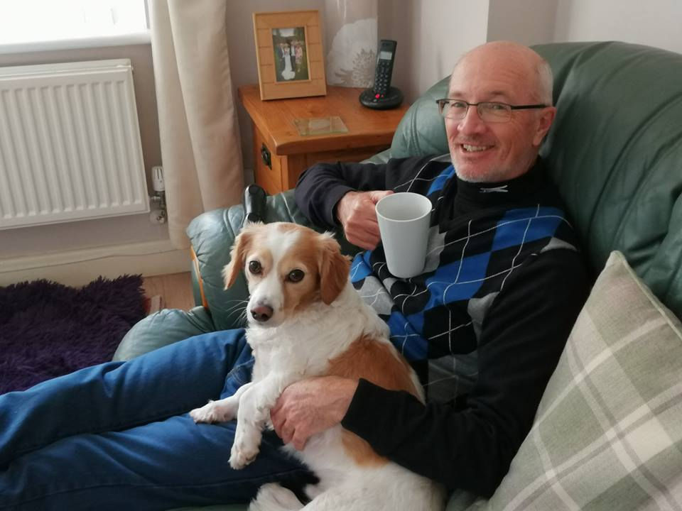 Dog relaxing in the house