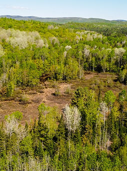 2023_05_27 tourbiere mathilde st-didace École Germain-Caron-0470.jpg