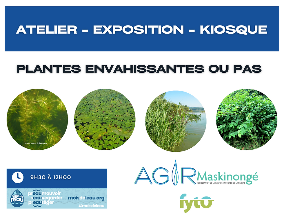 Plantes exotiques envahissantes