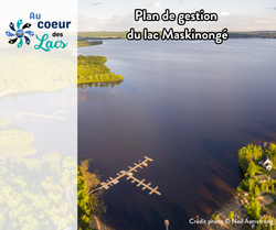 Lac Maskinongé