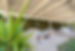 DSCF0389.jpg
