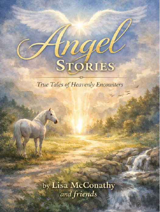 Angel Stories True Tales of Heavenly Encounters (ebook)