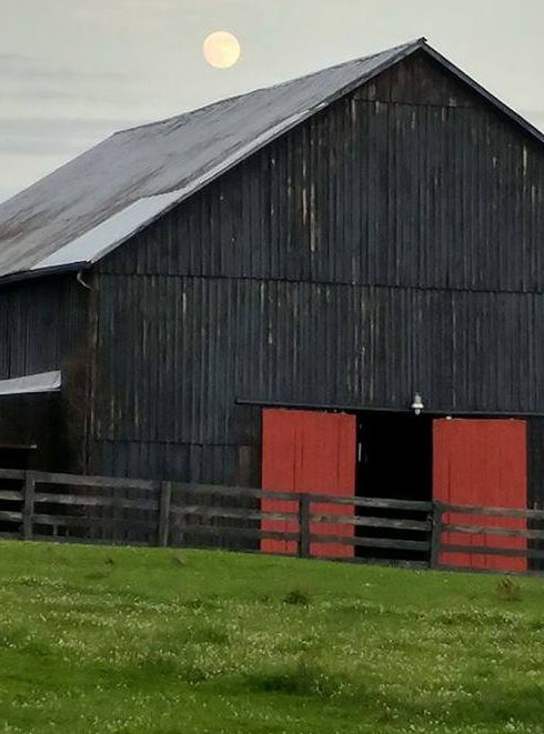barn_n.jpg