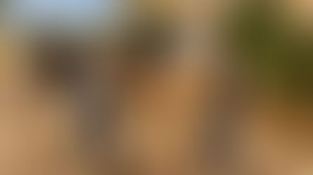 Invita DIF San Luis Río Colorado a aprovechar el servicio de equinoterapia