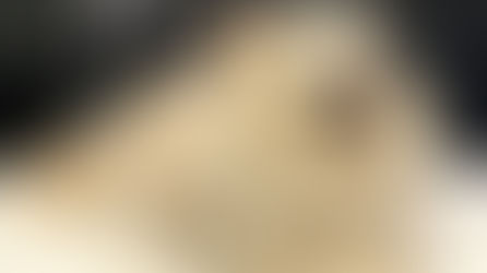 Investiga FGJES posible negligencia en la muerte de la canina “Channel” en Hermosillo