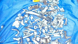 Parte de un maxilar inferior y un fémur, así como pequeños fragmentos óseos fueron encontrados