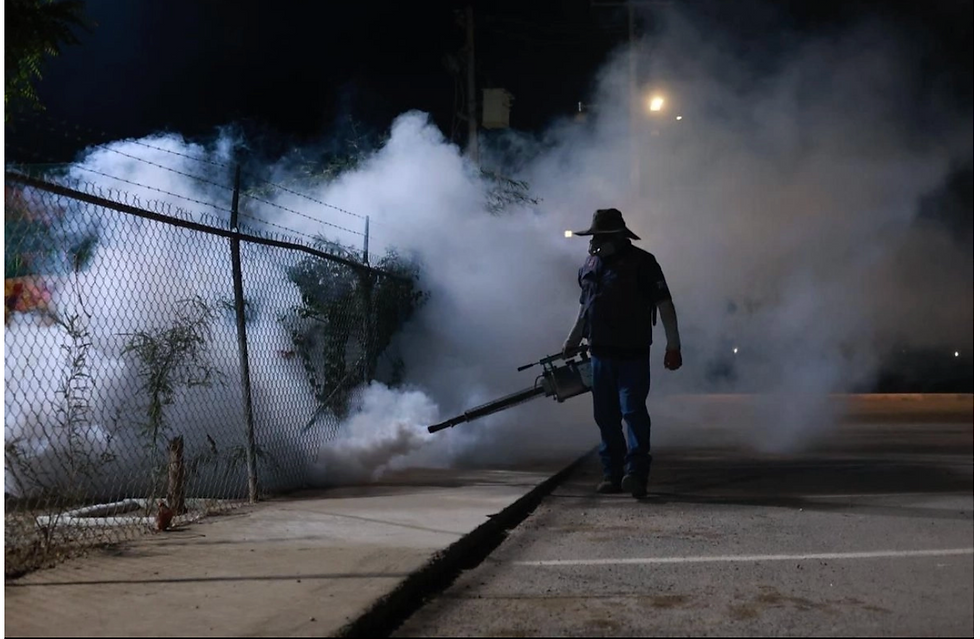 *Salud Sonora fumiga más de 154 mil hectáreas contra el dengue en 283 localidades