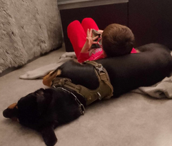 Capture d’écran 2025-02-03 105532