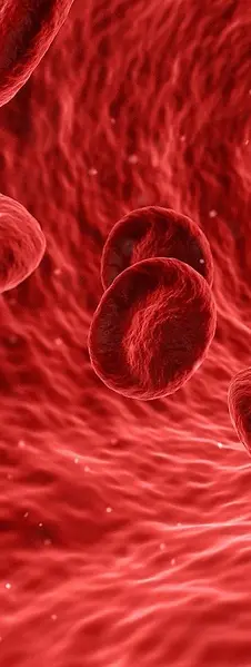 blood.webp