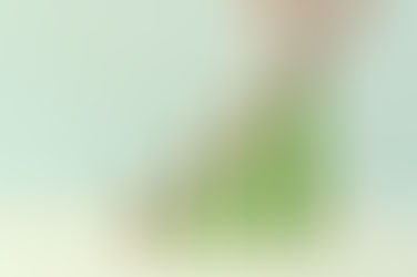 ESTRATEGIAS PARA LA MAESTRÍA