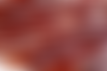 JAMON CURADO, NITRITOS y mi TARDÍA EDUCACIÓN