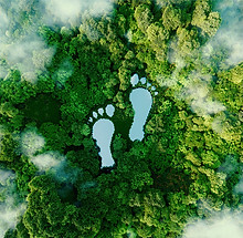 Carbon-Footprint-ESG_web-1000x666.jpg