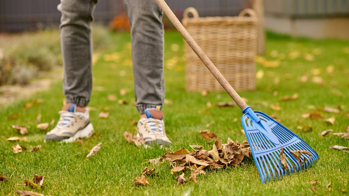 A man's feet and the bottom of a rake clearing up garden leaves