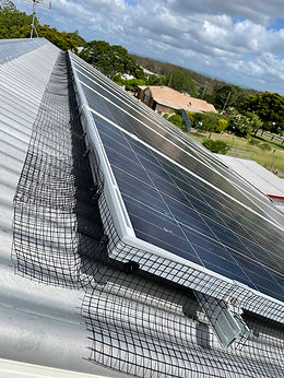 Bird proofing (1).jpeg