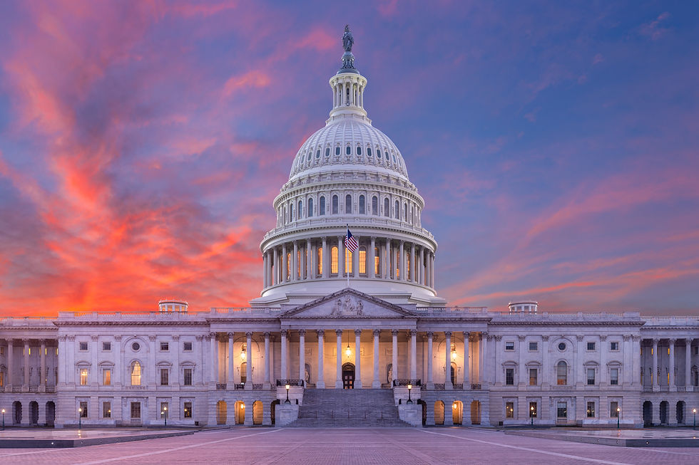 us-capitol-photo at dusk 1.jpg