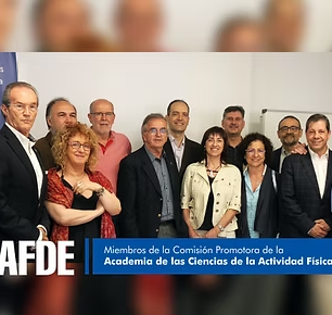 La Academia de las CAFyD se reúne en la sede del Consejo COLEF para seguir trabajando por su reconocimiento
