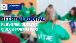 Oferta laboral: se busca docente para Ciclos formativos
