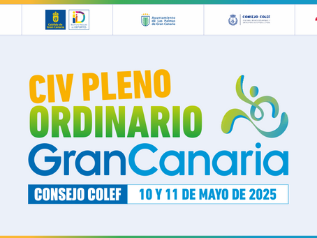 El 104º Pleno del Consejo COLEF ante la futura ley estatal de ordenación profesional