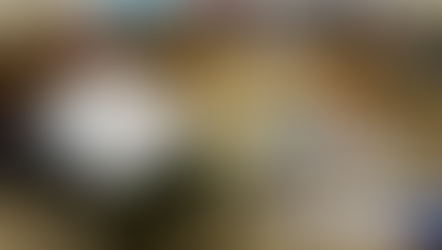 El ‘proyecto BLA’ se presenta en las jornadas de Zaragoza, Ciudad Europea de la Educación Física