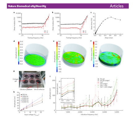 New Paper Published in Nature Biomedical Engineering