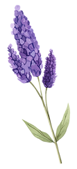 AdobeStock_741464567_7_edited.png