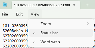 Notepad View menu, enable status bar