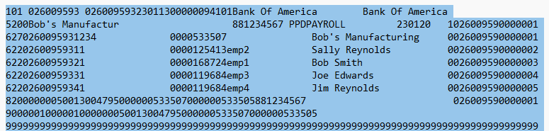 Highlighted ACH file in Notepad