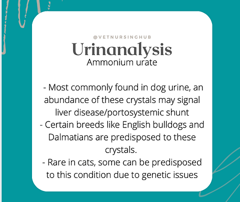 urinalysis