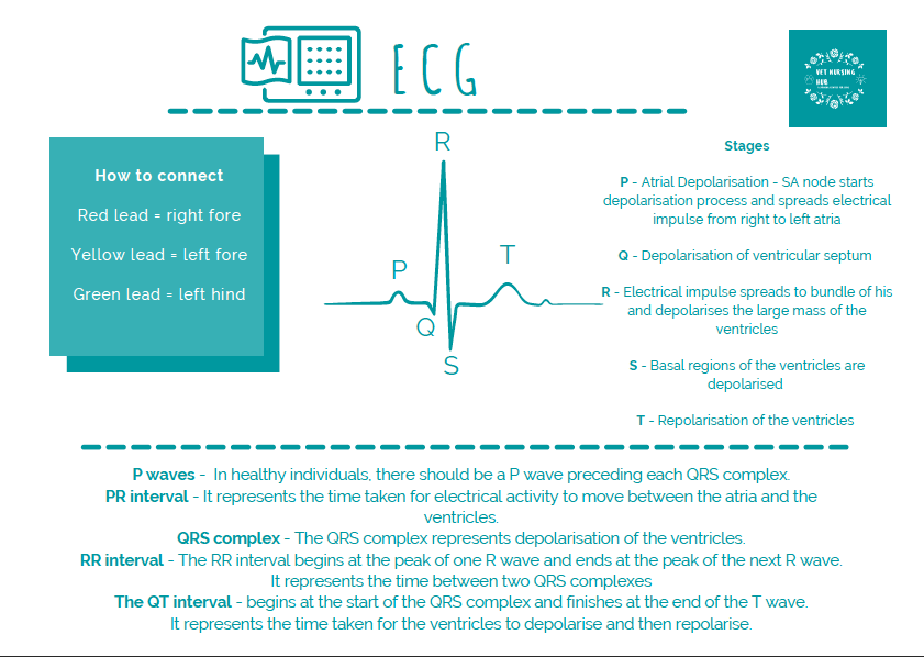 Thumbnail: Anaesthesia Guide - hard copy