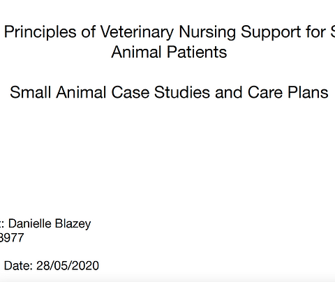 Essay - Veterinary Nursing support