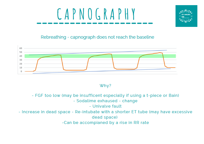 Thumbnail: Anaesthesia Guide - hard copy